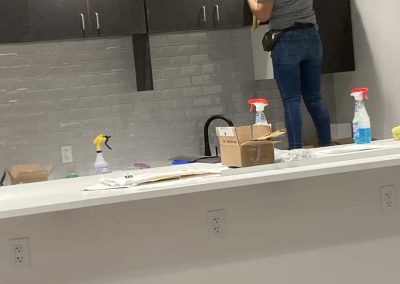 Professional Cleaning Services
